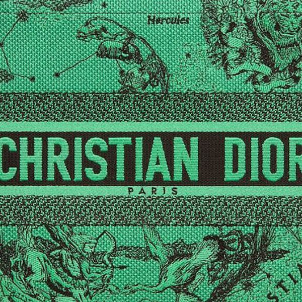 【ディオール】新作!ブックトート 偽物 ミディアムバッグ ★ M1296ZRHZ_M924